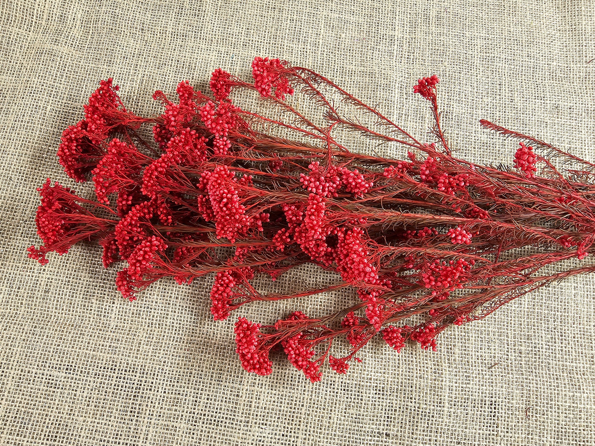 Red Preserved Rice Flower, Wedding Bouquet Filler, Floral Arrangement