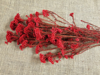 Red Preserved Rice Flower, Wedding Bouquet Filler, Floral Arrangement