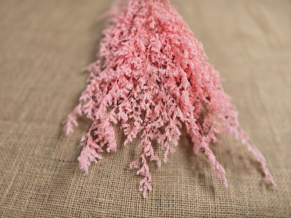 Pink Preserved Caspia: Soft Floral Arrangement, Wedding Home Decor