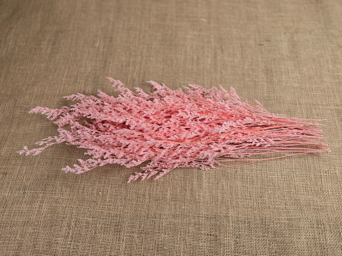Pink Preserved Caspia: Soft Floral Arrangement, Wedding Home Decor