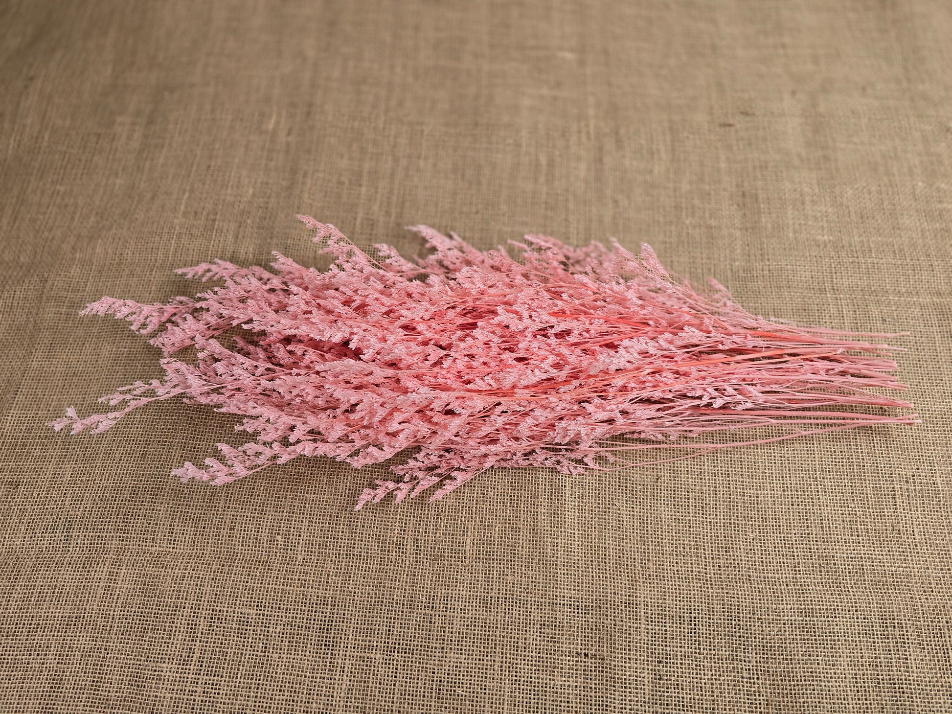 Pink Preserved Caspia: Soft Floral Arrangement, Wedding Home Decor