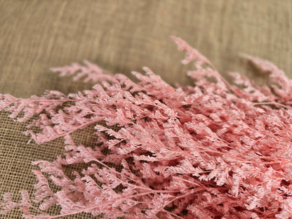 Pink Preserved Caspia: Soft Floral Arrangement, Wedding Home Decor