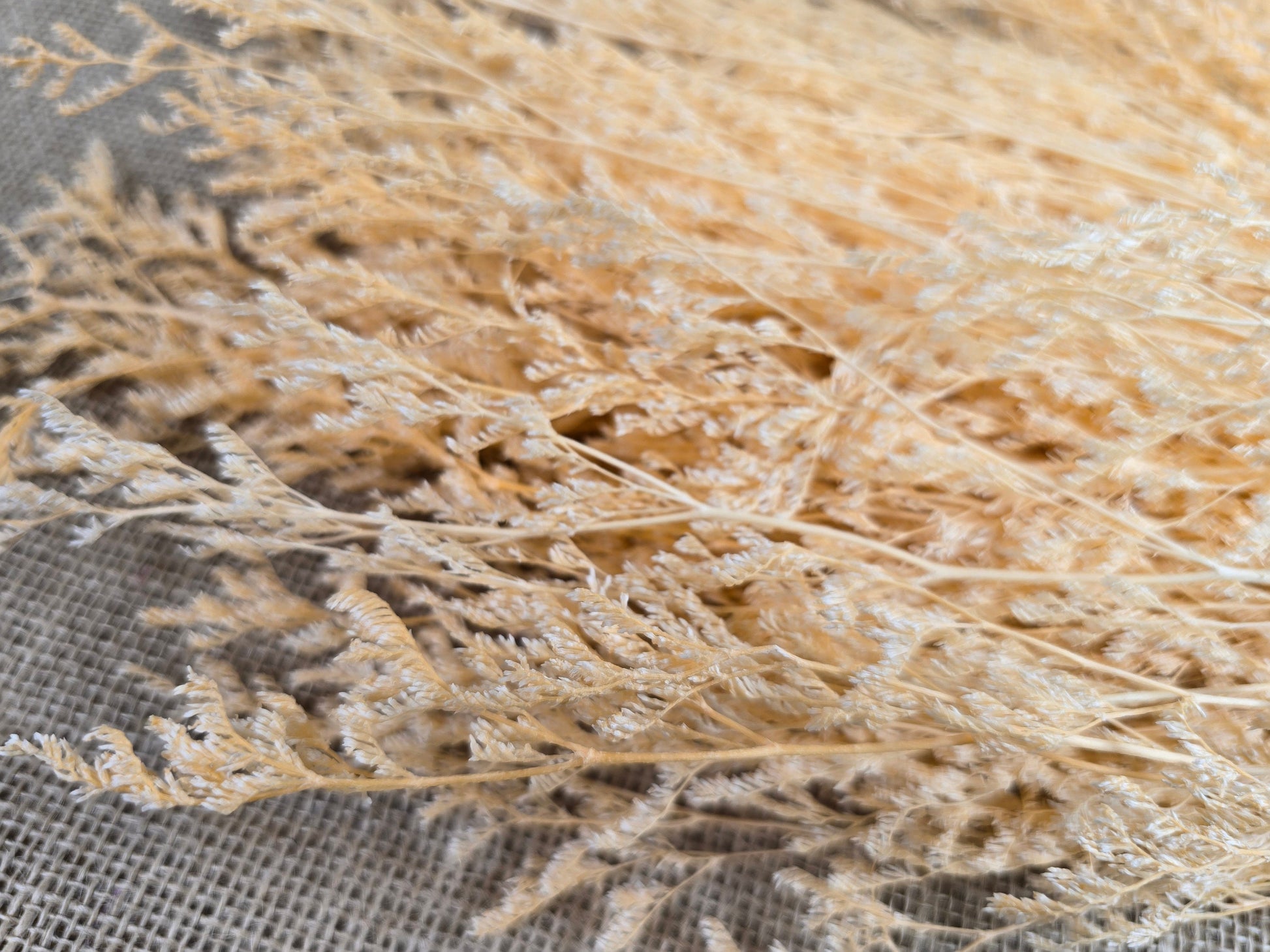 Champagne Caspia: Soft Preserved Floral Arrangement, Wedding Home Decor