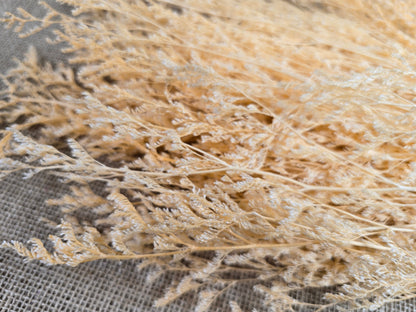 Champagne Caspia: Soft Preserved Floral Arrangement, Wedding Home Decor