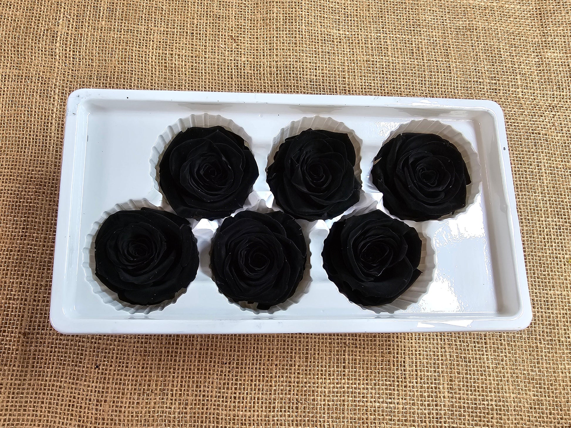 6 Black Preserved Roses: Large Floral Wedding Decor