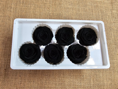 6 Black Preserved Roses: Large Floral Wedding Decor