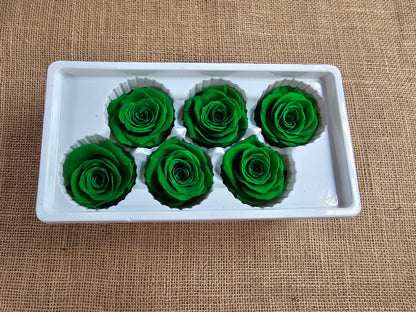 6 Green Preserved Roses: Large Floral Wedding Decor