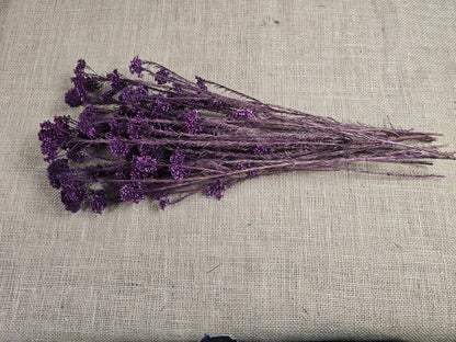 Peris Purple Preserved Rice Flower: Wedding Bouquet Filler (19-20" Tall)