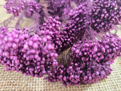 Peris Purple Preserved Rice Flower: Wedding Bouquet Filler (19-20" Tall)