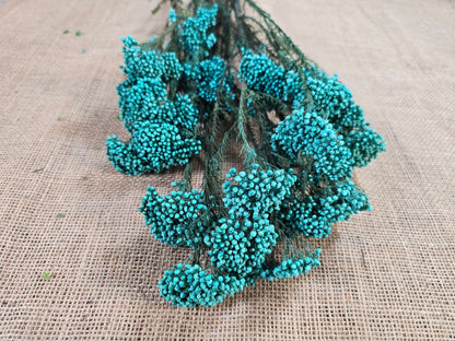 Light Blue Preserved Rice Flower, Wedding Bouquet Filler (19-20" Tall)