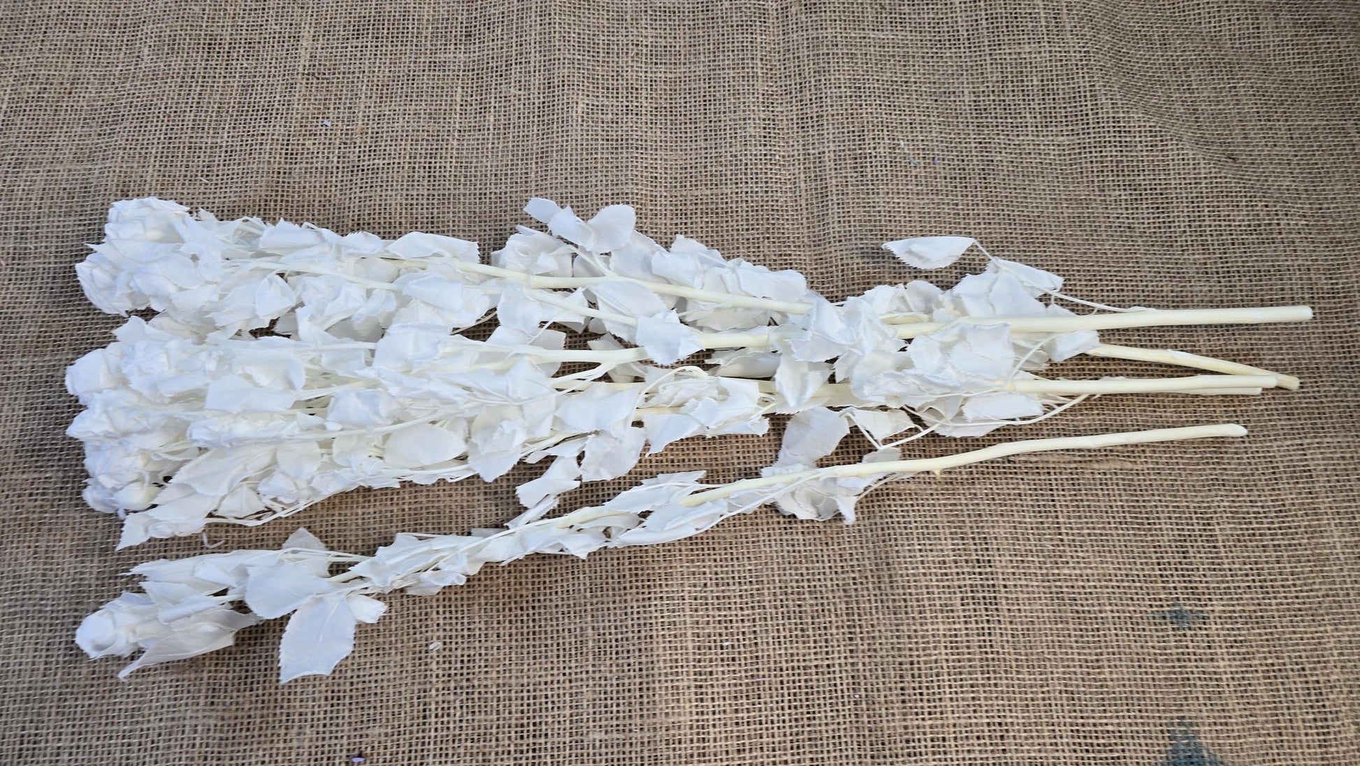 Preserved Roses with Stems: Bouquet & Wedding Decorations