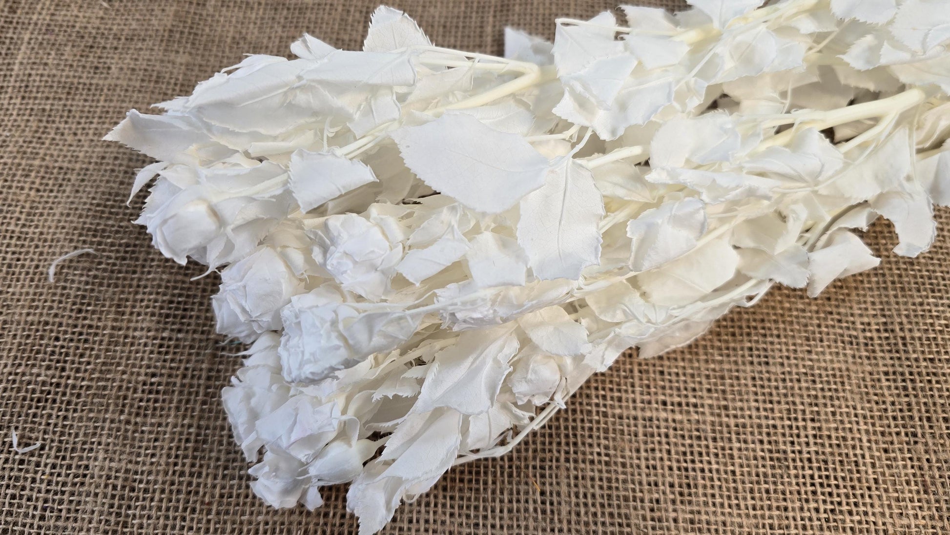 Preserved Roses with Stems: Bouquet & Wedding Decorations