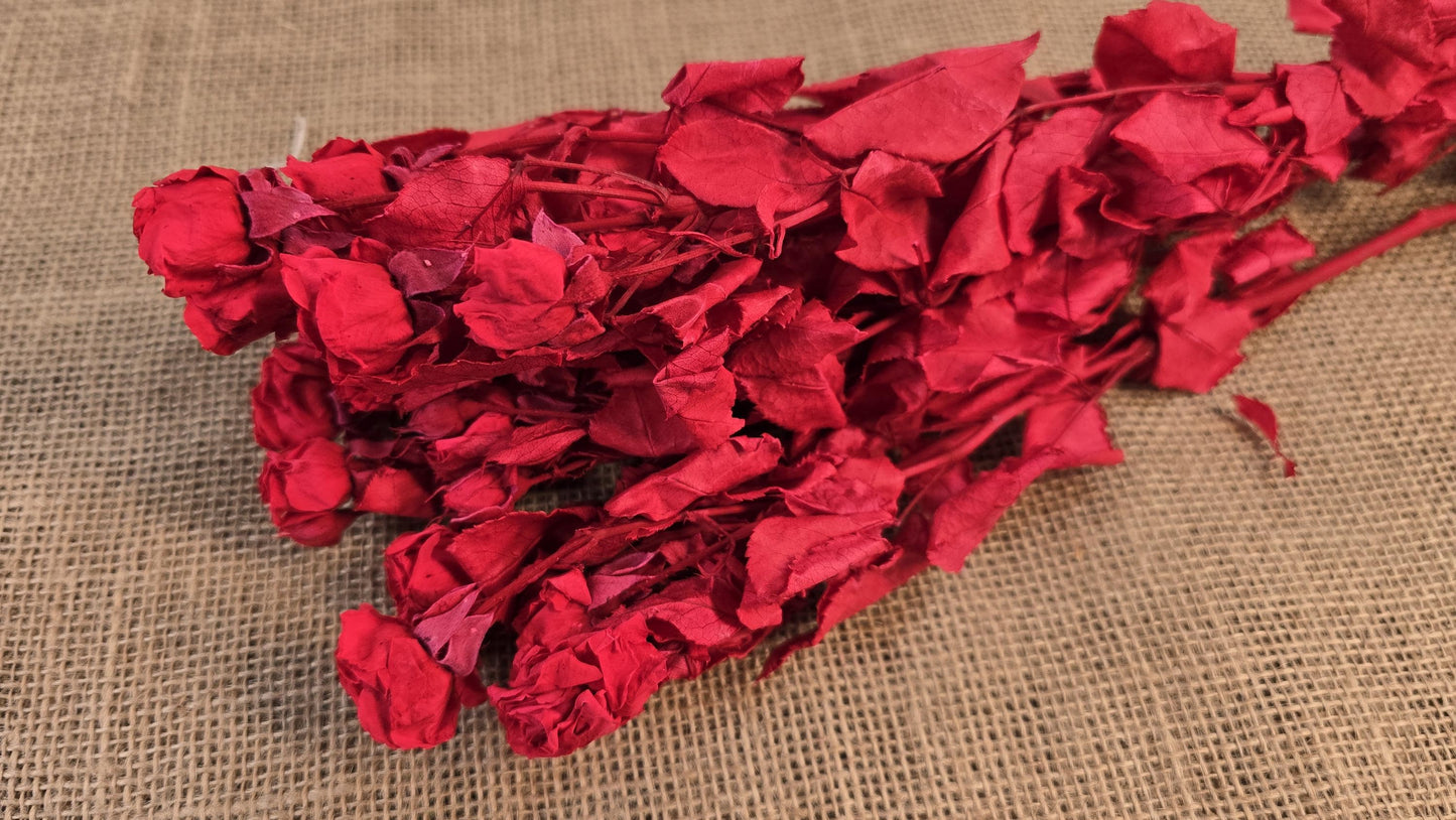 Preserved Roses with Stems: Bouquet & Wedding Decorations