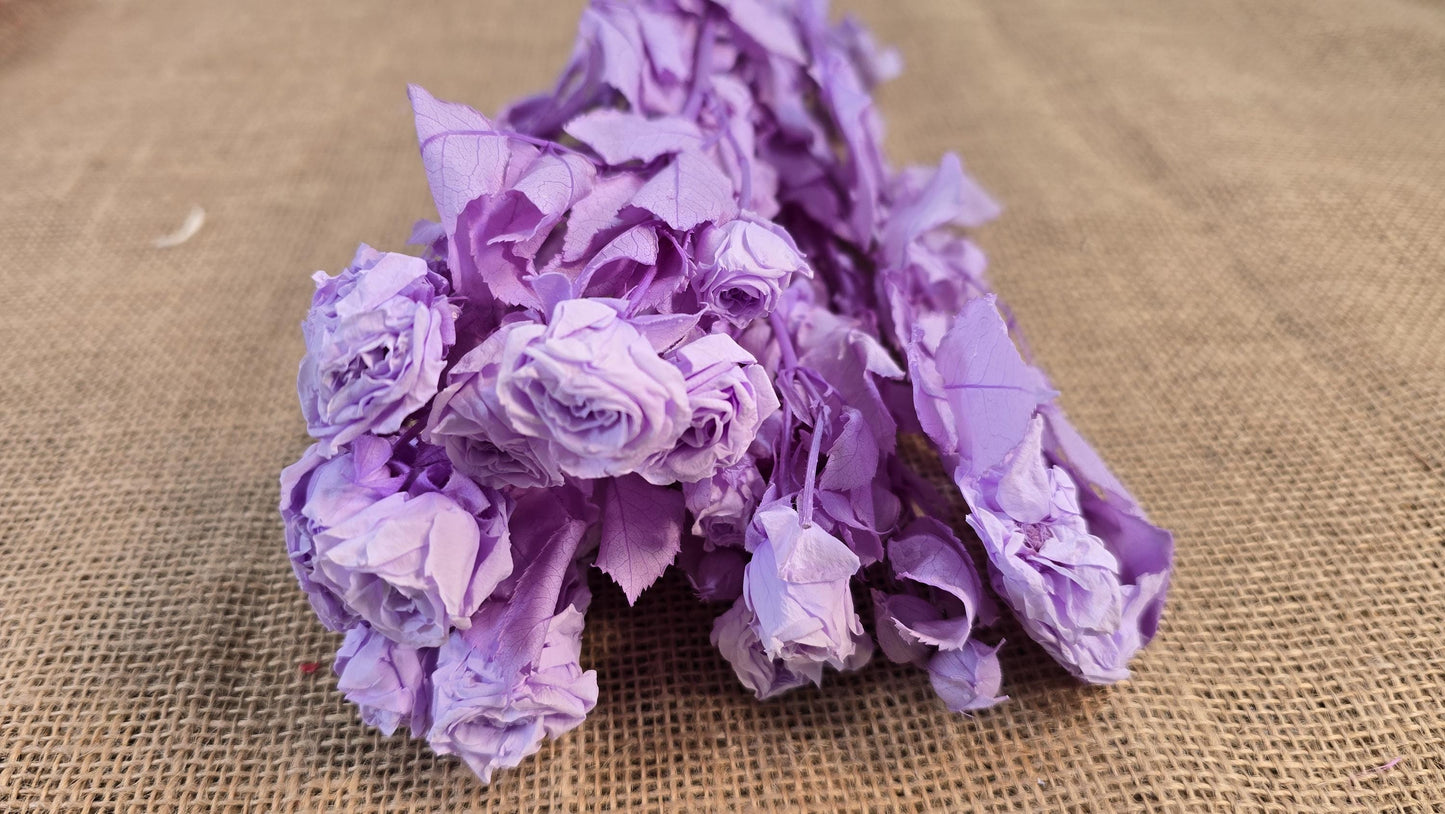 Preserved Roses with Stems: Bouquet & Wedding Decorations