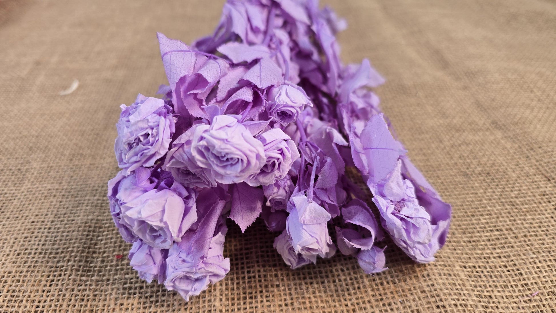 Preserved Roses with Stems: Bouquet & Wedding Decorations