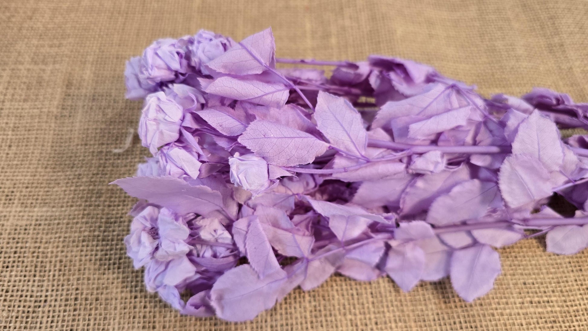 Preserved Roses with Stems: Bouquet & Wedding Decorations