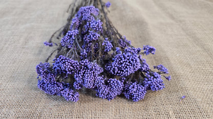Purple Preserved rice flower, flowers for bouquets, wedding flowers, filler, dried flowers arrangements, Wedding decor, 19"-20"tall,