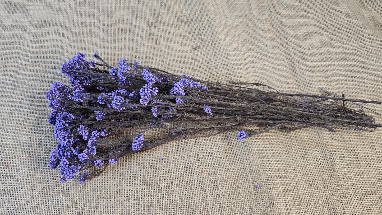 Purple Preserved rice flower, flowers for bouquets, wedding flowers, filler, dried flowers arrangements, Wedding decor, 19"-20"tall,