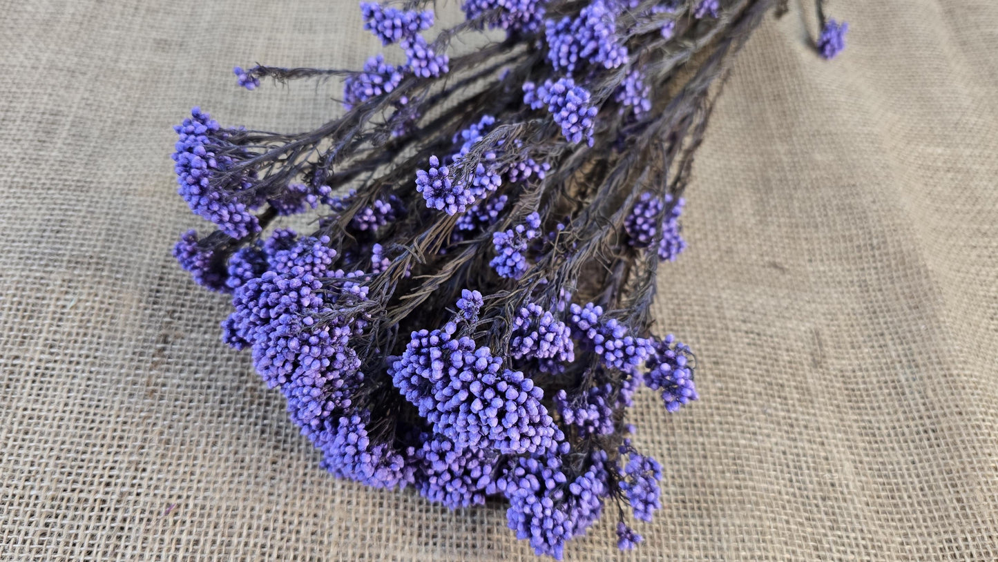 Purple Preserved rice flower, flowers for bouquets, wedding flowers, filler, dried flowers arrangements, Wedding decor, 19"-20"tall,