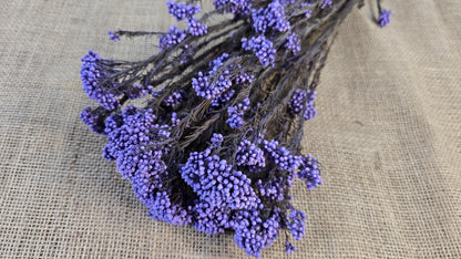 Purple Preserved rice flower, flowers for bouquets, wedding flowers, filler, dried flowers arrangements, Wedding decor, 19"-20"tall,