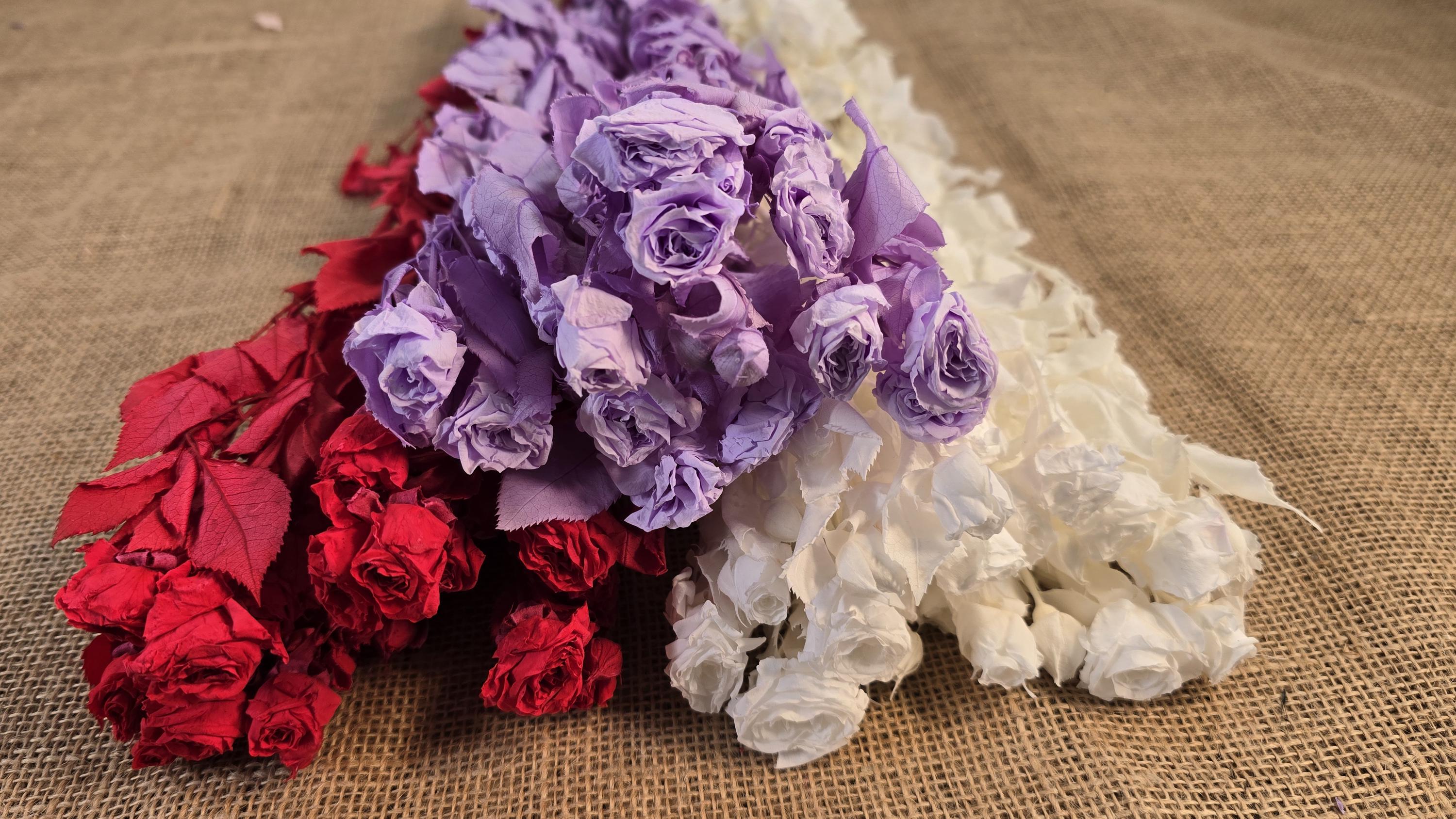 Preserved Roses with Stems: Bouquet & Wedding Decorations