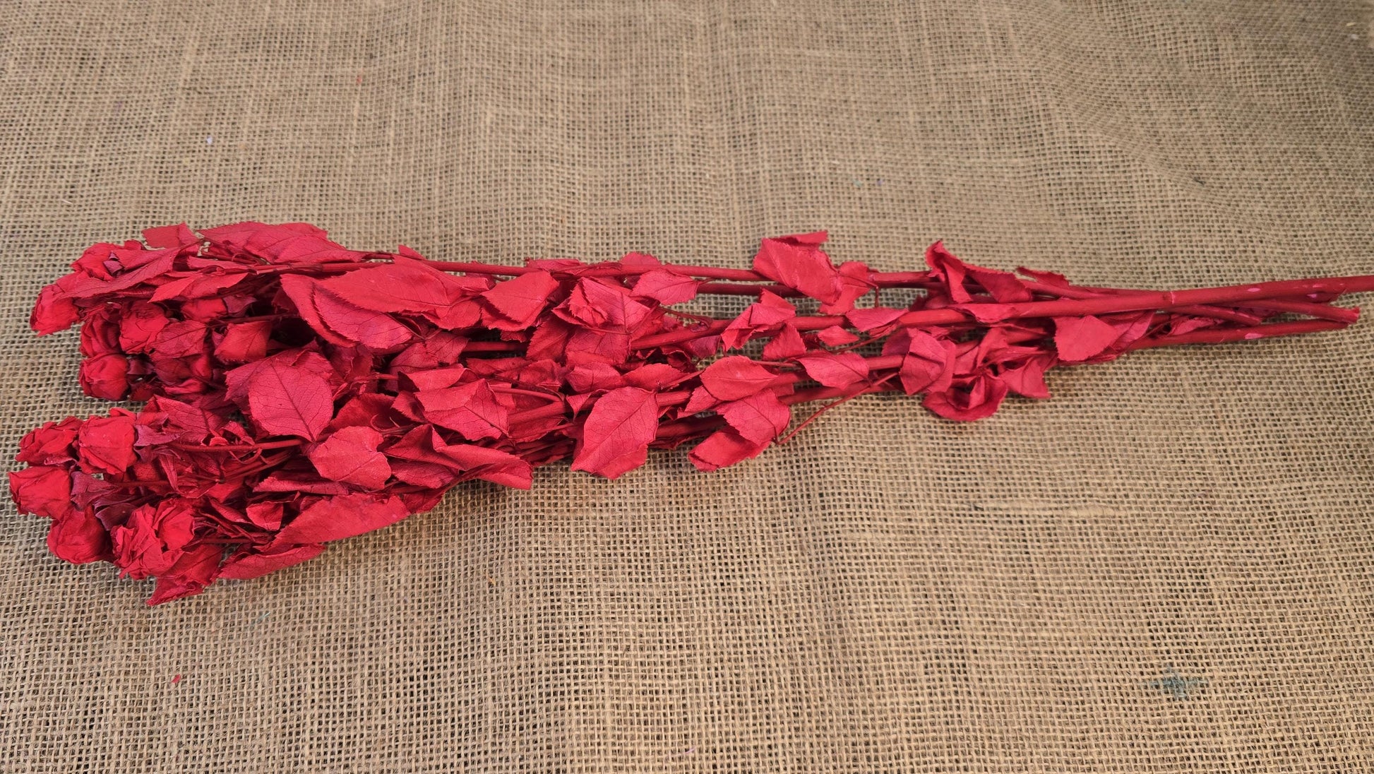 Preserved Roses with Stems: Bouquet & Wedding Decorations