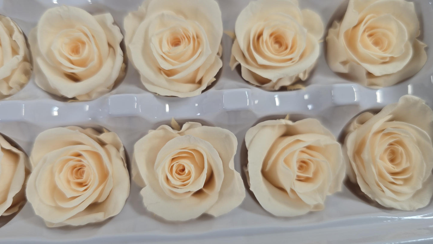 21 Champagne Preserved Roses: Wedding Bouquet Flowers