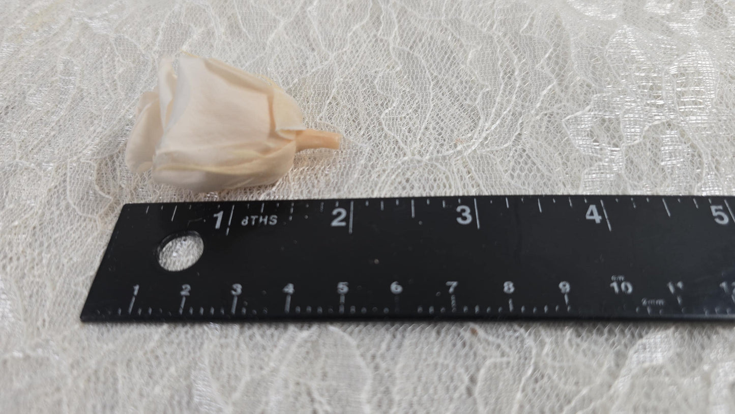 21 Champagne Preserved Roses: Wedding Bouquet Flowers