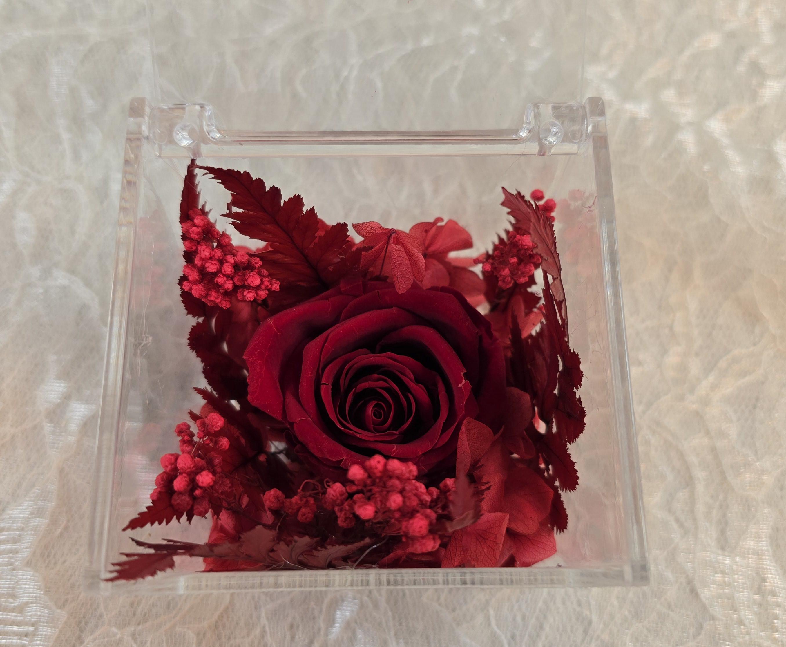 Forever Rose in Acrylic Box | Valentine's Day Gift