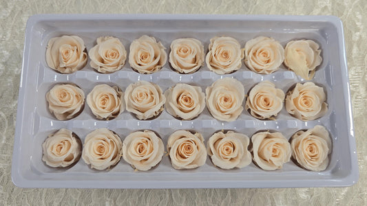 21 Champagne Preserved Roses: Wedding Bouquet Flowers