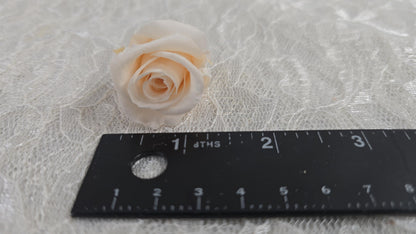 21 Champagne Preserved Roses: Wedding Bouquet Flowers