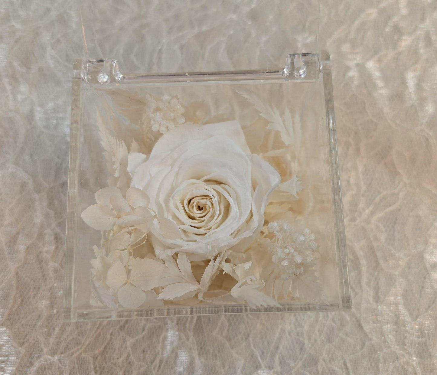 Forever Rose in Acrylic Box | Valentine's Day Gift