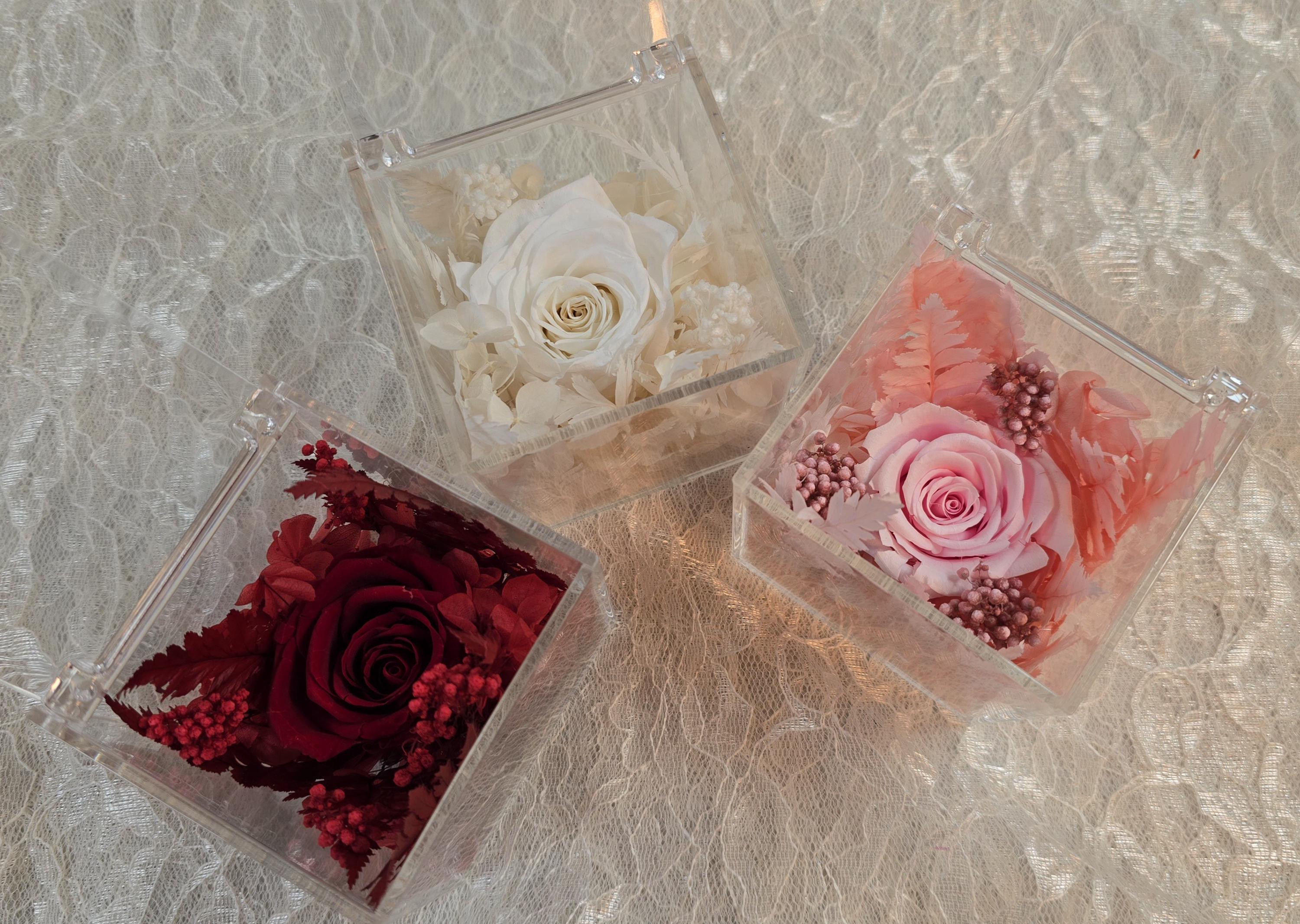 Forever Rose in Acrylic Box | Valentine's Day Gift
