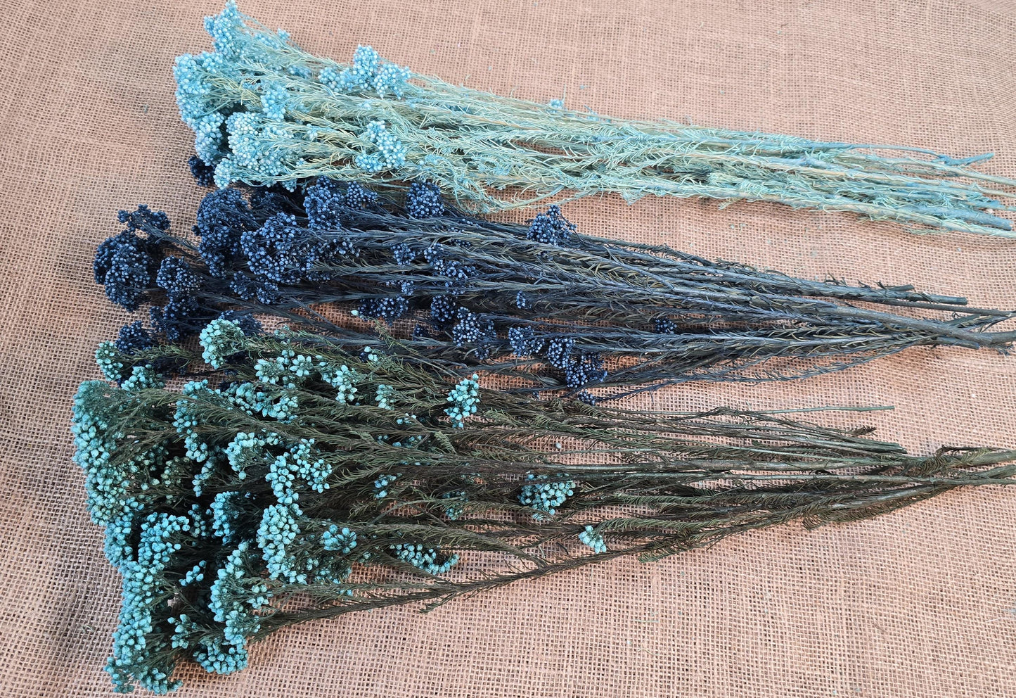 Blue Preserved Rice Flower: Dried Wedding Bouquet Filler (19-20" Tall)