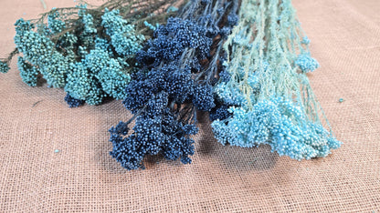 Blue Preserved Rice Flower: Dried Wedding Bouquet Filler (19-20" Tall)