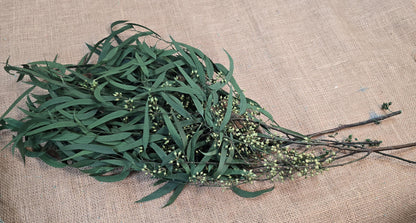 Preserved Eucalyptus Olive Seeded Willow Leaves for Indoor Home & Office Decor; Millet Leaf Party Decoration Plants