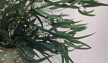 Preserved Eucalyptus Olive Seeded Willow Leaves for Indoor Home & Office Decor; Millet Leaf Party Decoration Plants