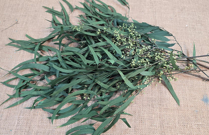 Preserved Eucalyptus Olive Seeded Willow Leaves for Indoor Home & Office Decor; Millet Leaf Party Decoration Plants