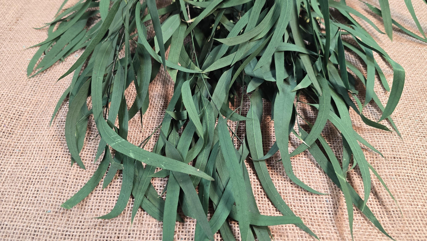 Preserved Eucalyptus Olive Seeded Willow Leaves for Indoor Home & Office Decor; Millet Leaf Party Decoration Plants