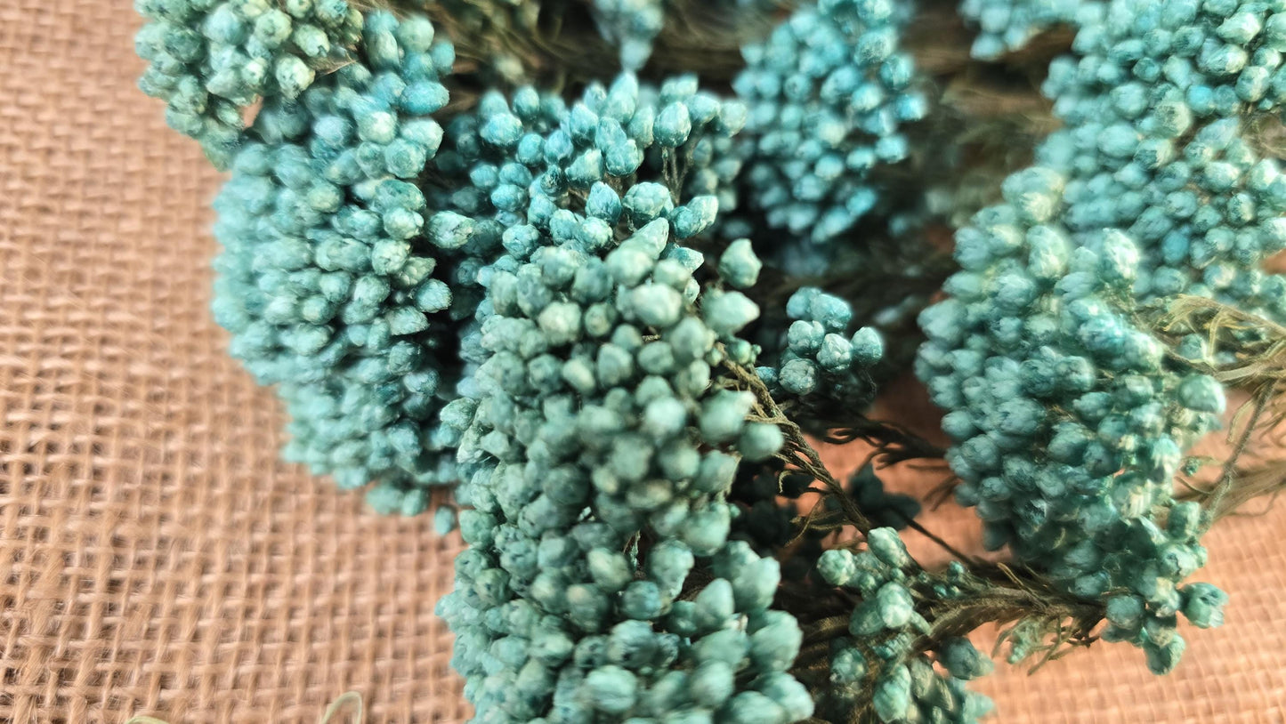 Blue Preserved Rice Flower: Dried Wedding Bouquet Filler (19-20" Tall)