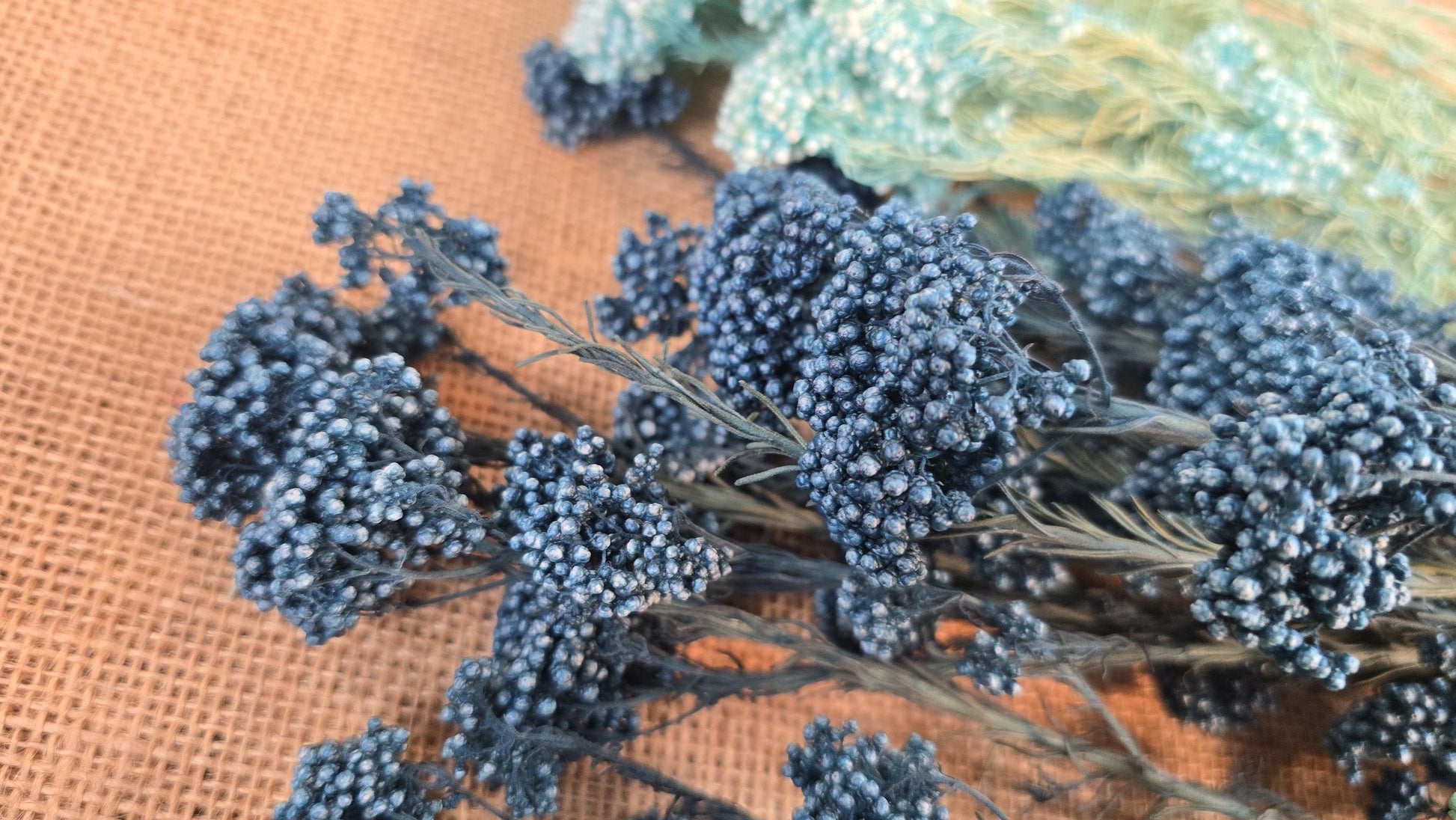 Blue Preserved Rice Flower: Dried Wedding Bouquet Filler (19-20" Tall)