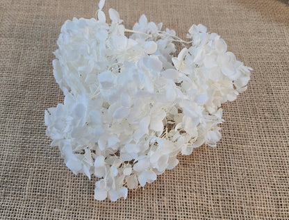Preserved White Hydrangea: Real Dried Wedding Flowers