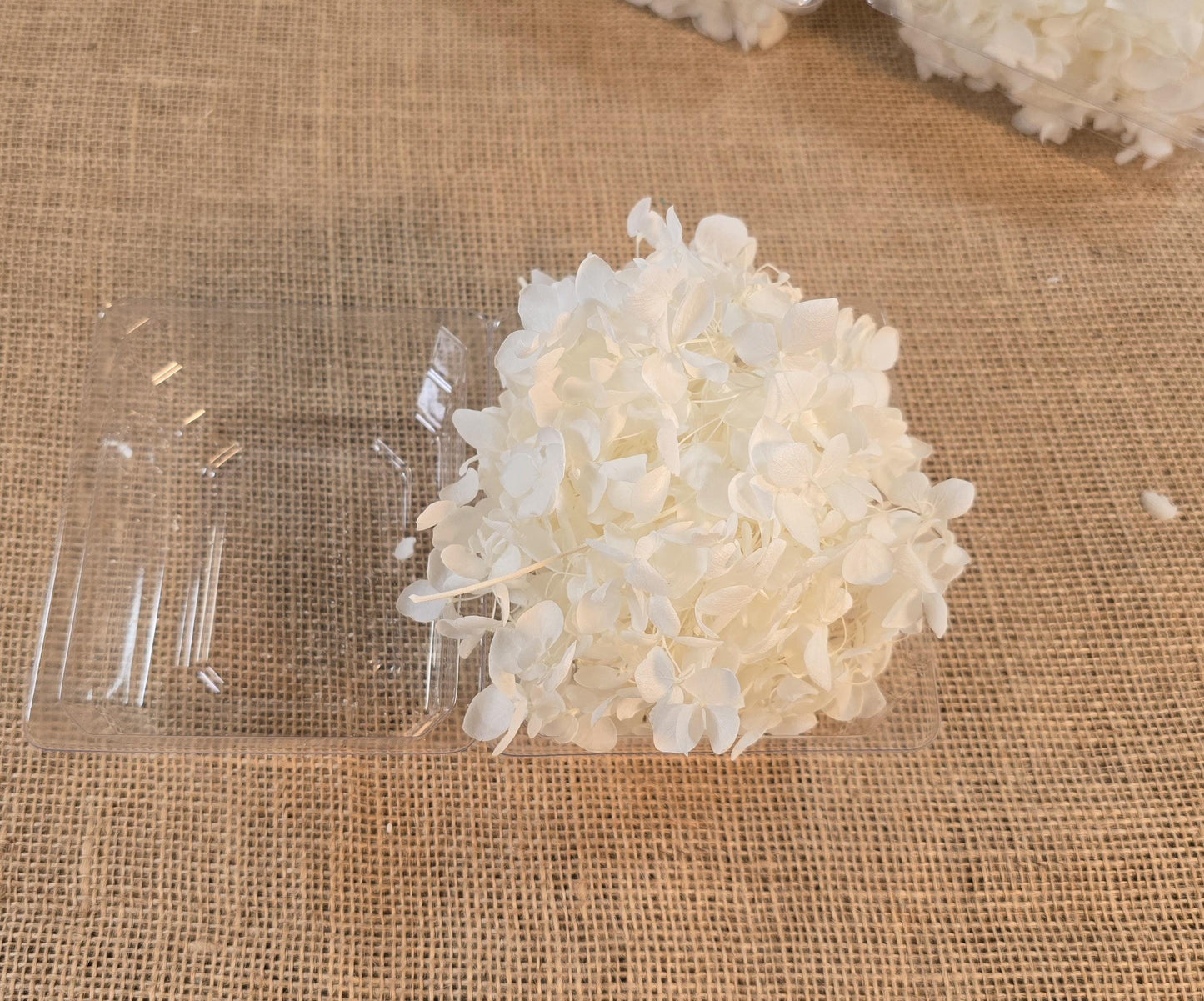 Preserved White Hydrangea: Real Dried Wedding Flowers