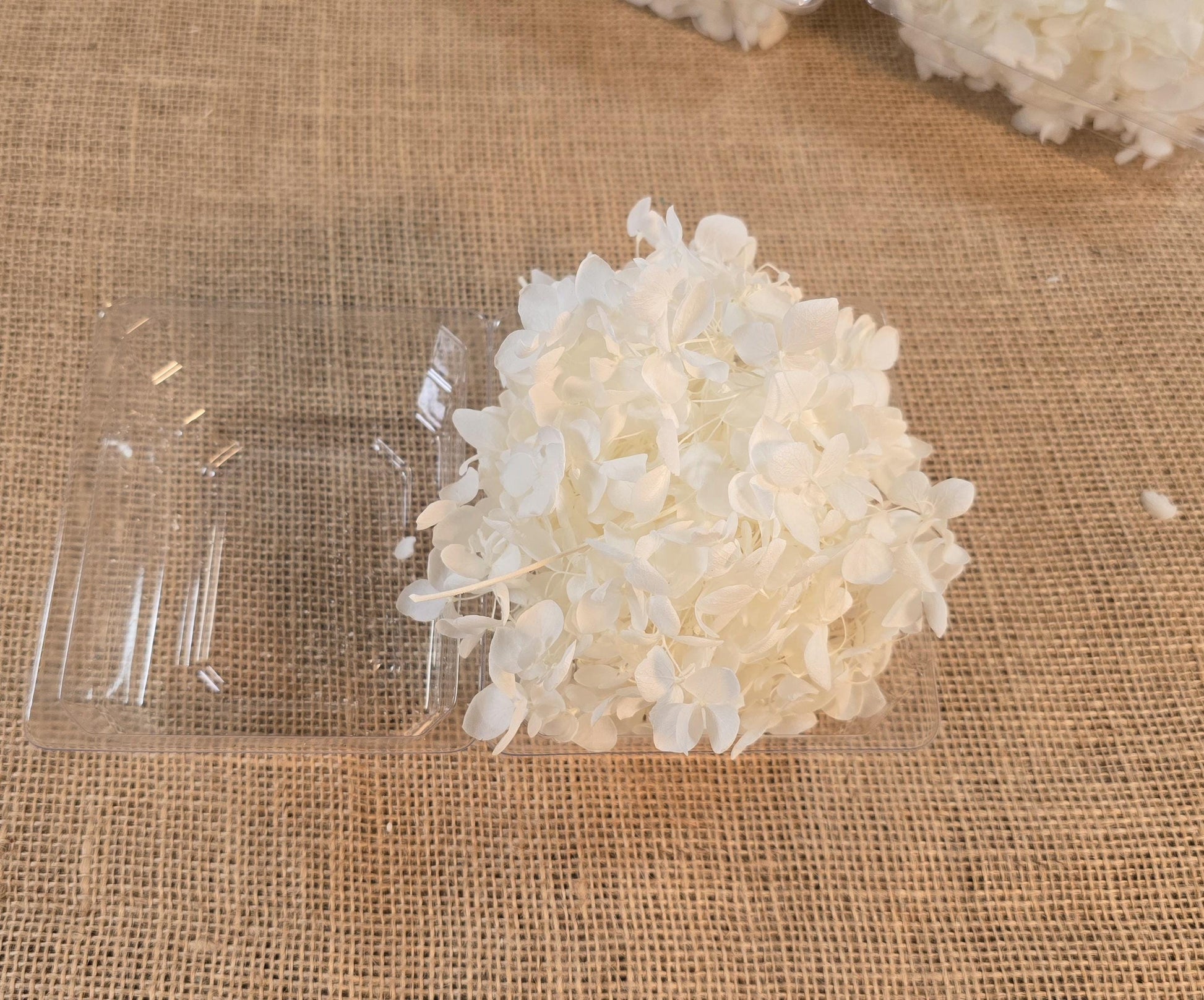 Preserved White Hydrangea: Real Dried Wedding Flowers