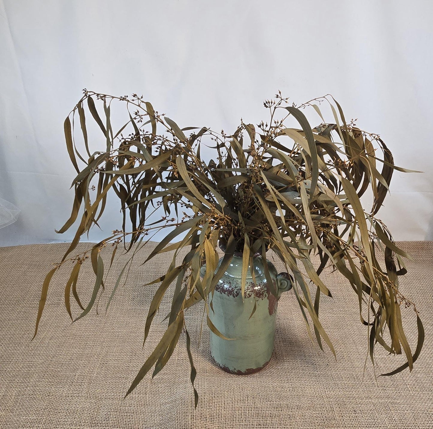 Yellow Preserved Eucalyptus Olive Seeded Willow Leaves for Indoor Home & Office Decor; Millet Leaf Party Decoration Plants