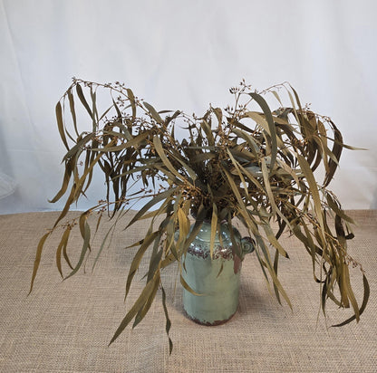 Yellow Preserved Eucalyptus Olive Seeded Willow Leaves for Indoor Home & Office Decor; Millet Leaf Party Decoration Plants