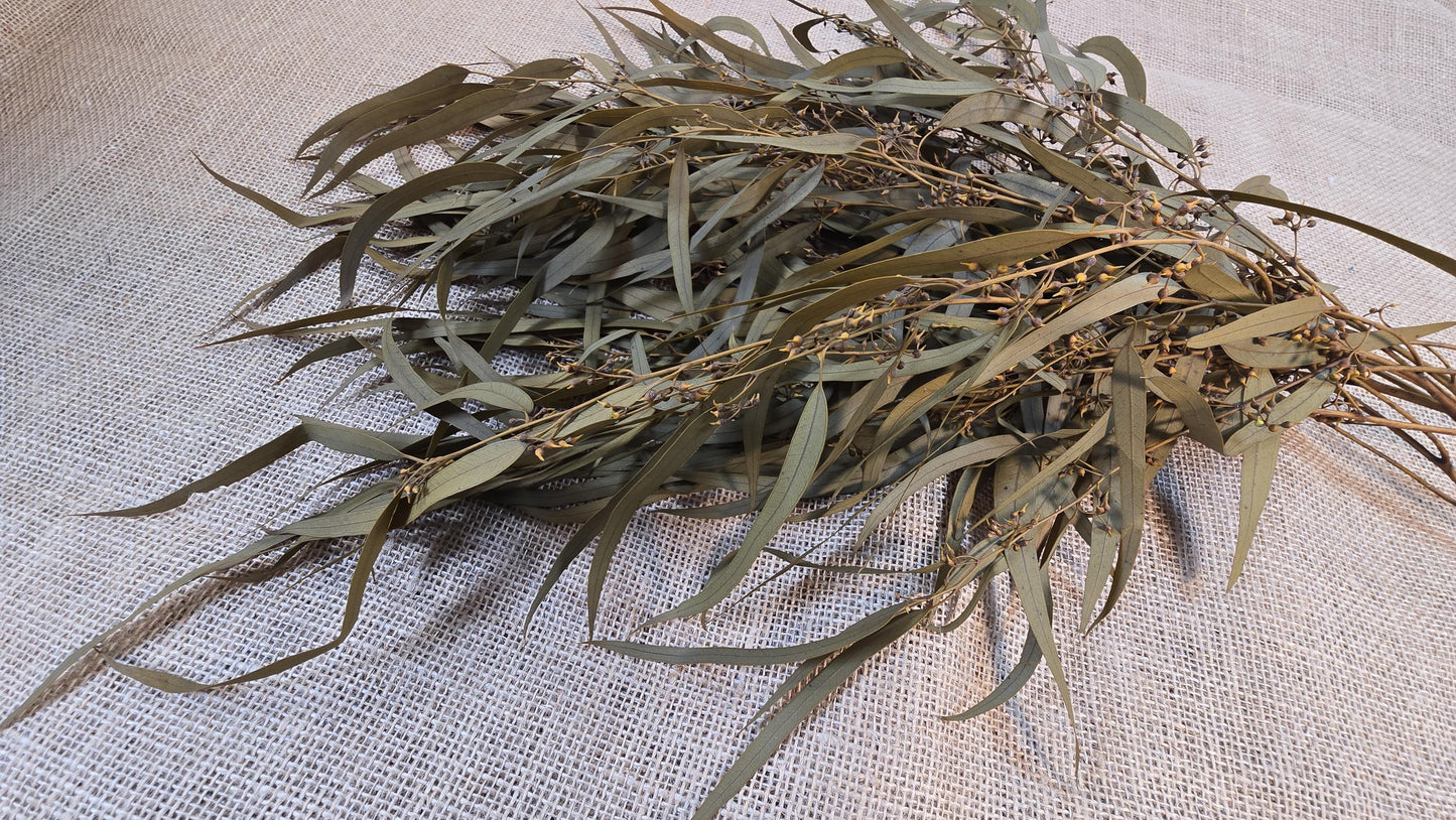Yellow Preserved Eucalyptus Olive Seeded Willow Leaves for Indoor Home & Office Decor; Millet Leaf Party Decoration Plants