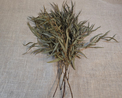 Yellow Preserved Eucalyptus Olive Seeded Willow Leaves for Indoor Home & Office Decor; Millet Leaf Party Decoration Plants