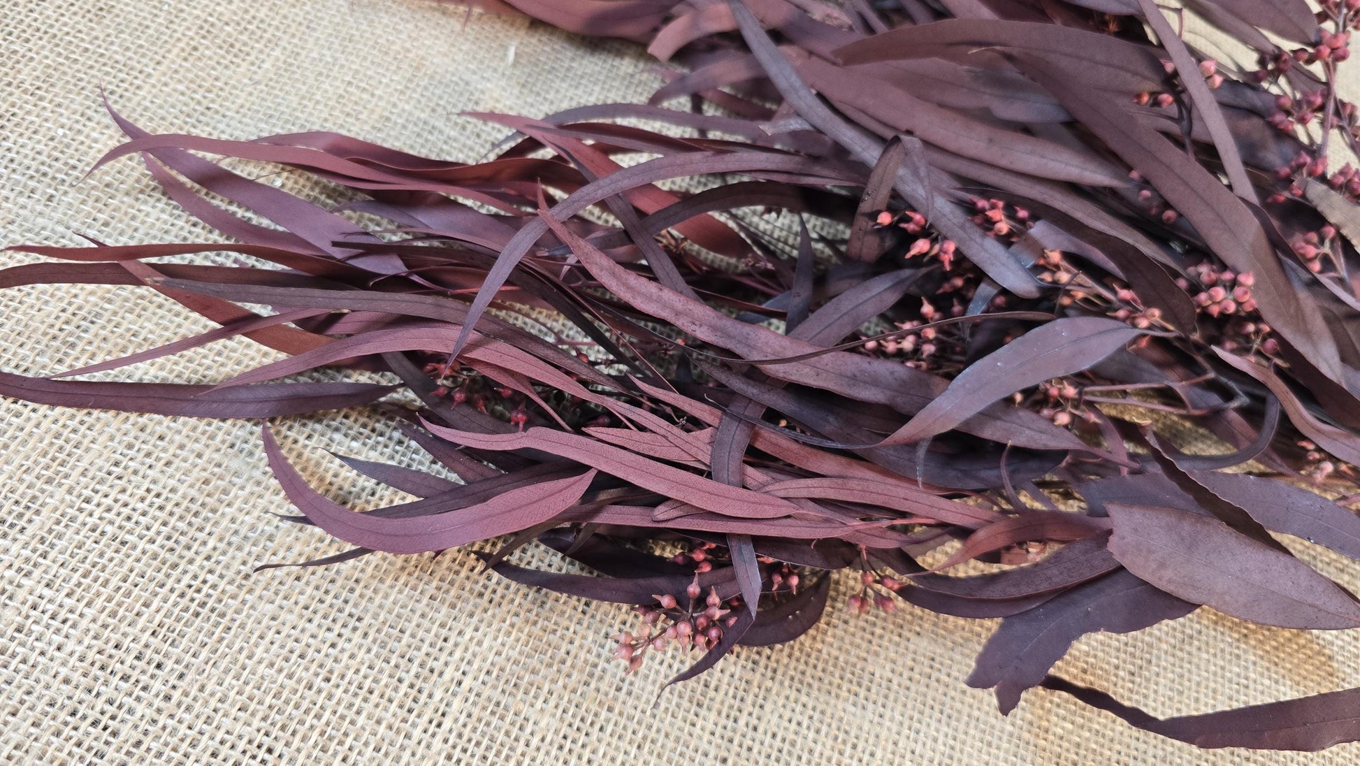 Red Preserved Eucalyptus & Willow Leaves: Rustic Home Decor