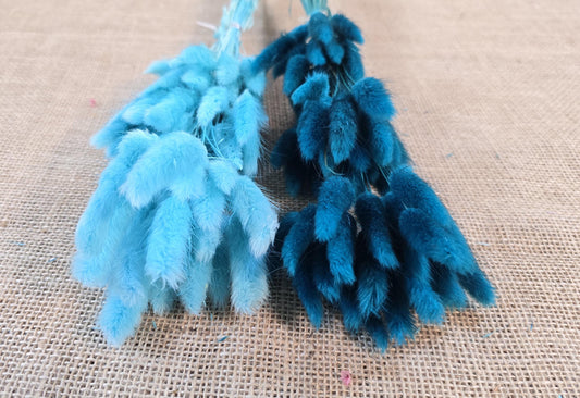 60 Blue Dried Bunny Tail Grass Stems: Boho Wedding Decor